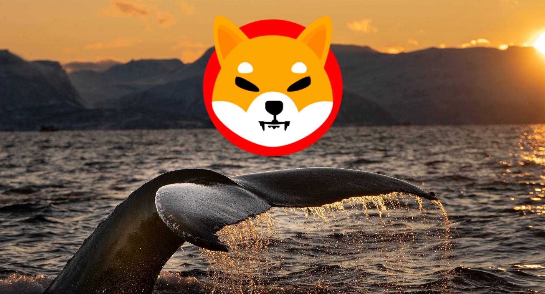 Shiba Inu: Whales Accumulate SHIB During Price Dip, Igniting Potential Rally